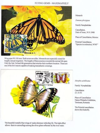 FLYING GEMS OR LEPIDOPTERA - MAXIMAPHILY – sheet 48