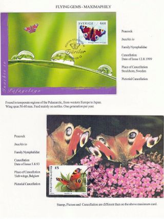 FLYING GEMS OR LEPIDOPTERA - MAXIMAPHILY – sheet 49