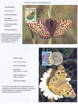 FLYING GEMS OR LEPIDOPTERA - MAXIMAPHILY – sheet 50