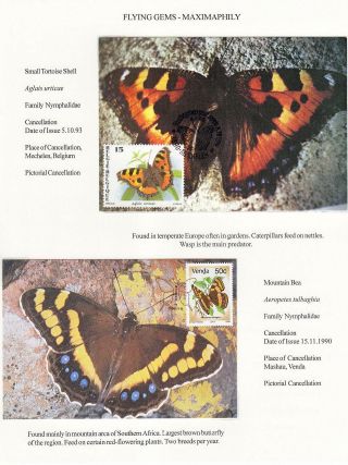 FLYING GEMS OR LEPIDOPTERA - MAXIMAPHILY – sheet 52