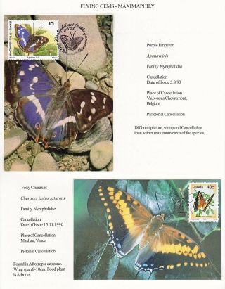FLYING GEMS OR LEPIDOPTERA - MAXIMAPHILY – sheet 53