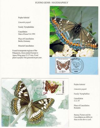 FLYING GEMS OR LEPIDOPTERA - MAXIMAPHILY – sheet 54