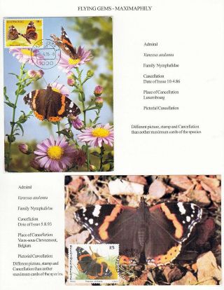 FLYING GEMS OR LEPIDOPTERA - MAXIMAPHILY – sheet 56