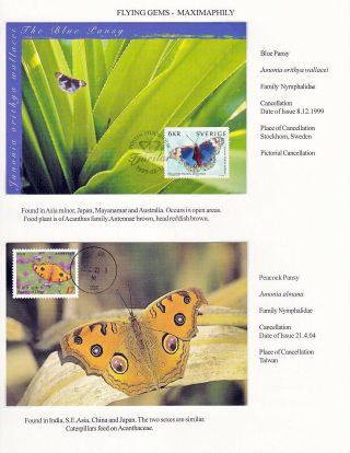 FLYING GEMS OR LEPIDOPTERA - MAXIMAPHILY – sheet 57