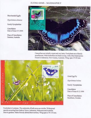 FLYING GEMS OR LEPIDOPTERA - MAXIMAPHILY – sheet 58
