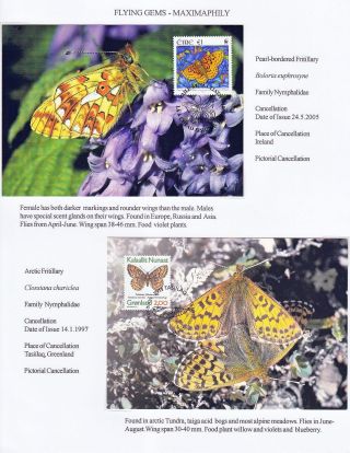 FLYING GEMS OR LEPIDOPTERA - MAXIMAPHILY – sheet 59