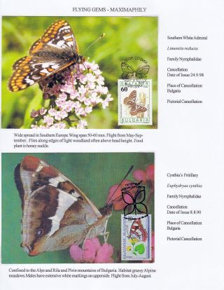 FLYING GEMS OR LEPIDOPTERA - MAXIMAPHILY – sheet 60