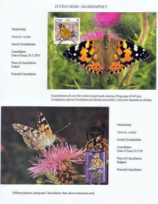 FLYING GEMS OR LEPIDOPTERA - MAXIMAPHILY – sheet 61
