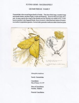 FLYING GEMS OR LEPIDOPTERA - MAXIMAPHILY – sheet 63