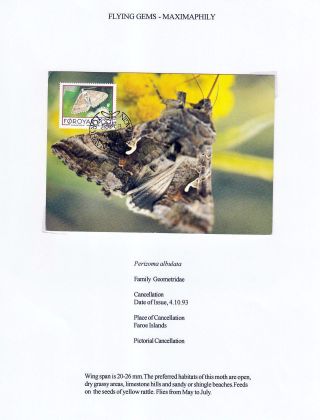 FLYING GEMS OR LEPIDOPTERA - MAXIMAPHILY – sheet 64