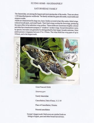 FLYING GEMS OR LEPIDOPTERA - MAXIMAPHILY – sheet 66