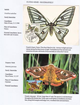 FLYING GEMS OR LEPIDOPTERA - MAXIMAPHILY – sheet 67
