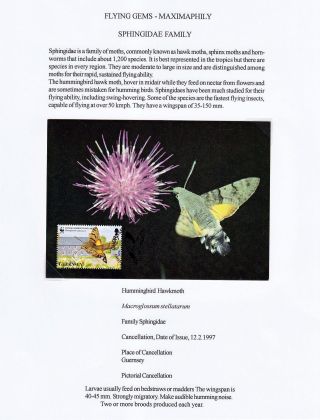 FLYING GEMS OR LEPIDOPTERA - MAXIMAPHILY – sheet 68