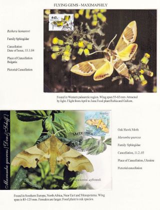 FLYING GEMS OR LEPIDOPTERA - MAXIMAPHILY – sheet 69