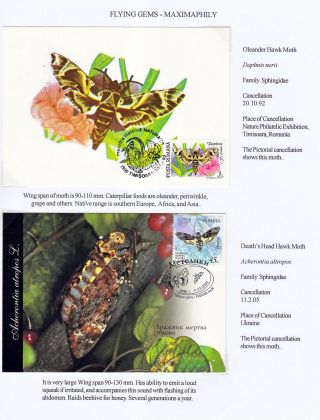 FLYING GEMS OR LEPIDOPTERA - MAXIMAPHILY – sheet 72