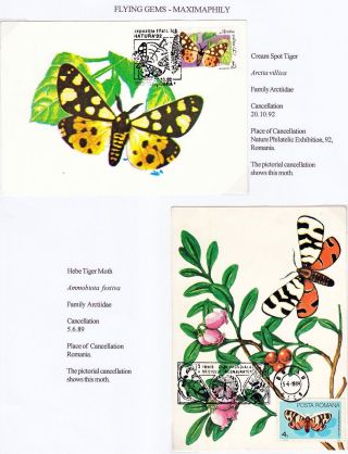 FLYING GEMS OR LEPIDOPTERA - MAXIMAPHILY – sheet 74