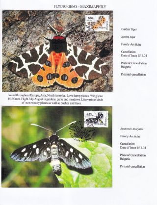 FLYING GEMS OR LEPIDOPTERA - MAXIMAPHILY – sheet 75
