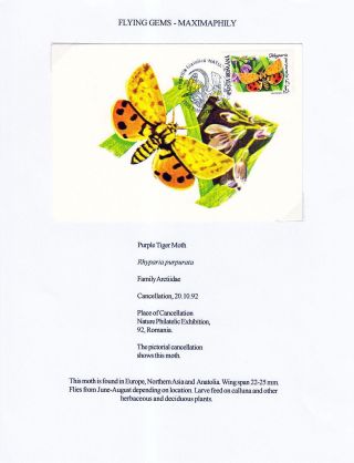 FLYING GEMS OR LEPIDOPTERA - MAXIMAPHILY – sheet 76