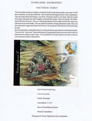 FLYING GEMS OR LEPIDOPTERA - MAXIMAPHILY – sheet 77