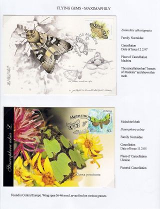 FLYING GEMS OR LEPIDOPTERA - MAXIMAPHILY – sheet 79