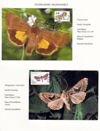 FLYING GEMS OR LEPIDOPTERA - MAXIMAPHILY – sheet 80