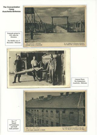 ANTISEMITISMUS A HOLOCAUST – list 180